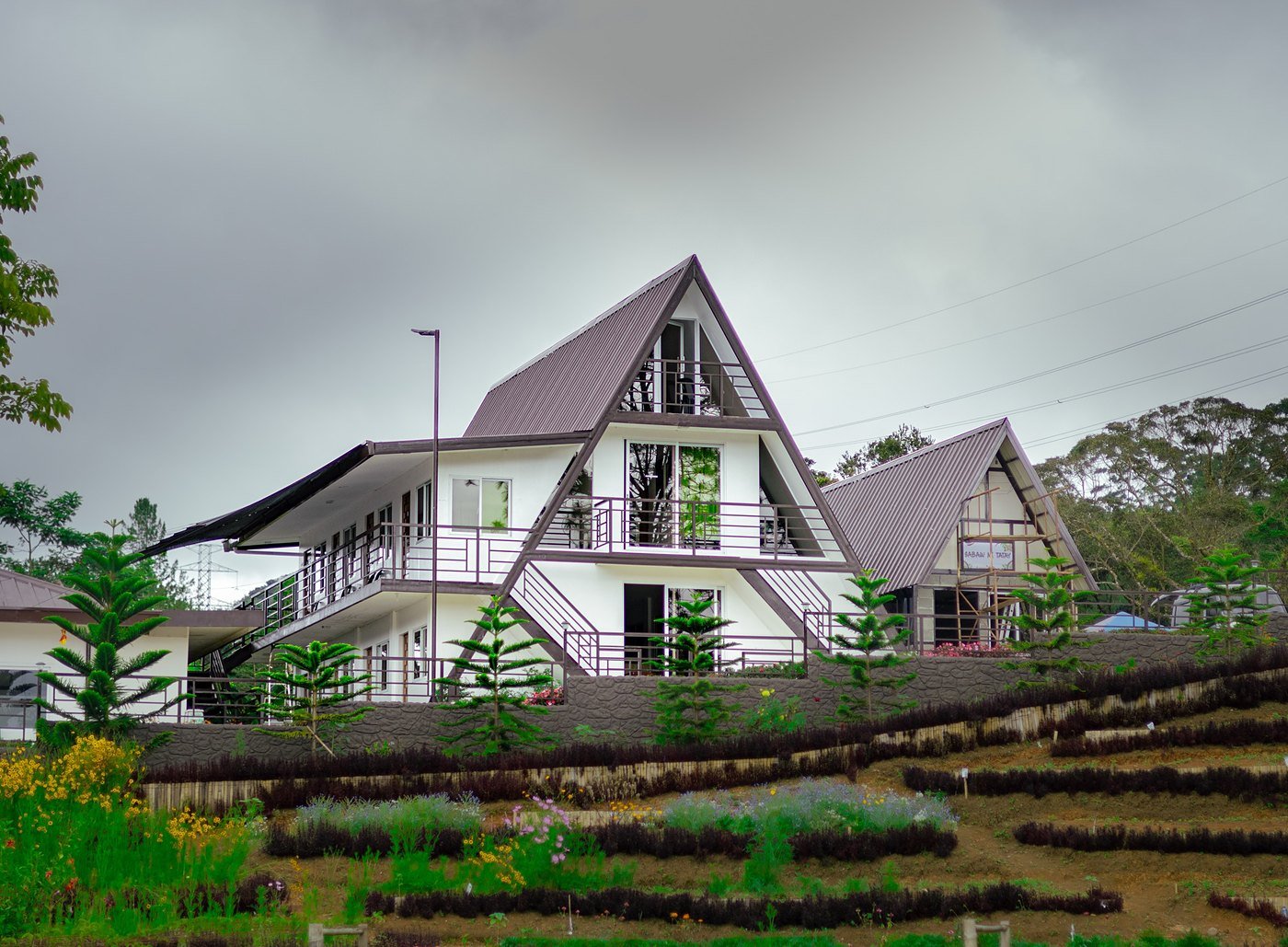 Hoyohoy sa Bukid