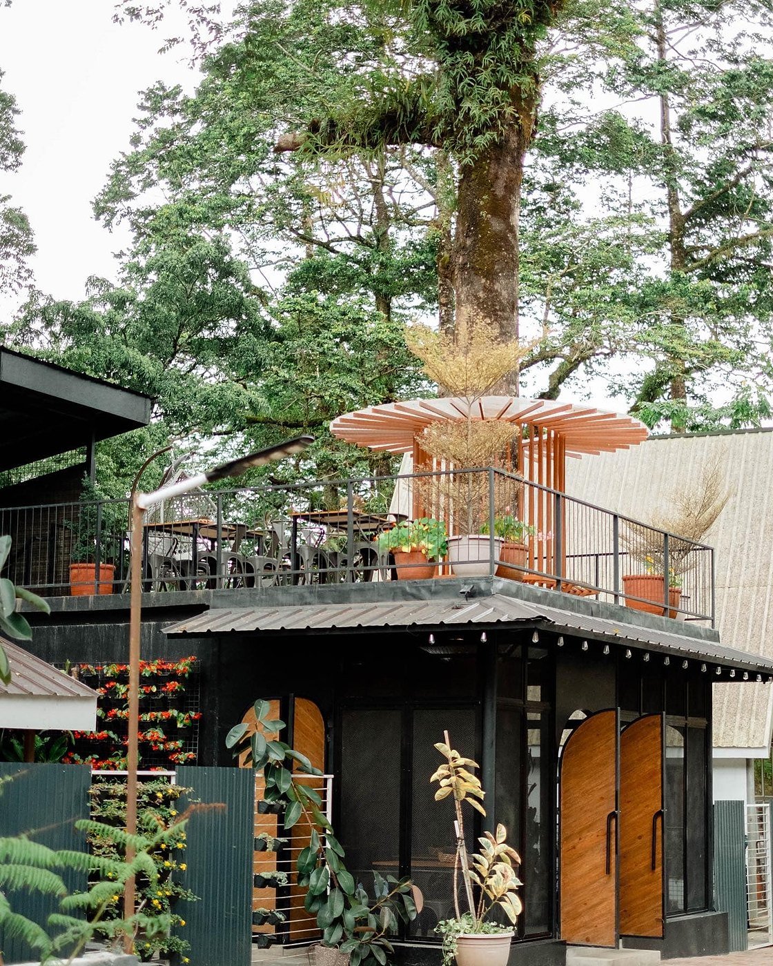 Tree House and Art's Risto Buda